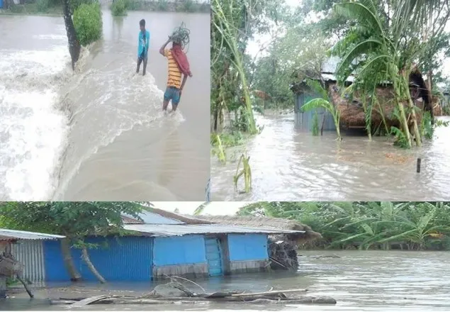 রোয়ানুর আঘাতে ঝরল ২৬ প্রাণ