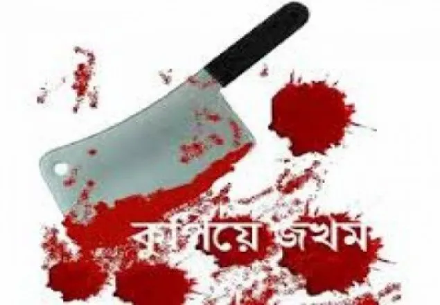 ধামরাইয়ে সিএনজি চালককে কুপিয়ে জখম