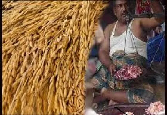 ১ কেজি মাংসের দামে মিলছে একমন ধান