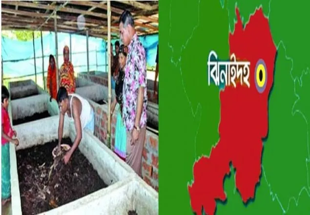 কালীগঞ্জে কেঁচো চাষ করে স্বাবলম্বী হাজারো দরিদ্র নারী