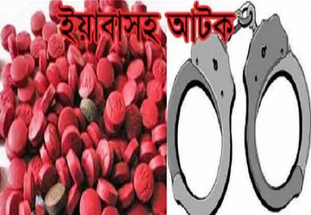 পিরোজপুরে ইয়াবাসহ আটক ১