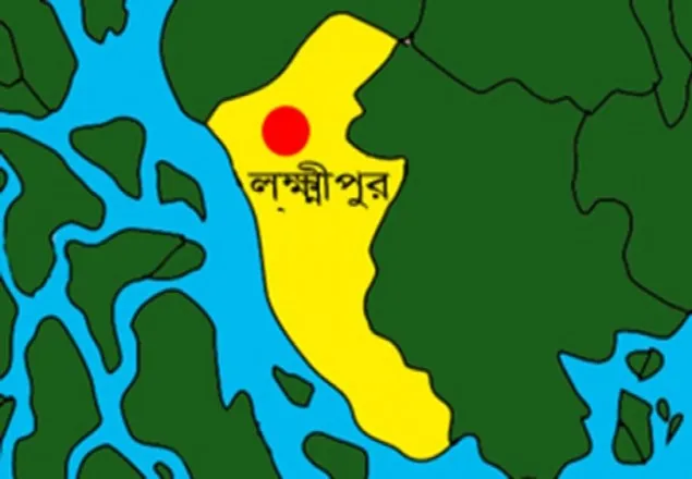 লক্ষ্মীপুরে জালভোট দেয়ার অভিযোগে আটক ৮