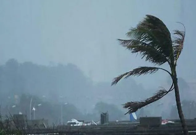 মানিকগঞ্জে আকস্মিক ঝড়ে নিহত ১