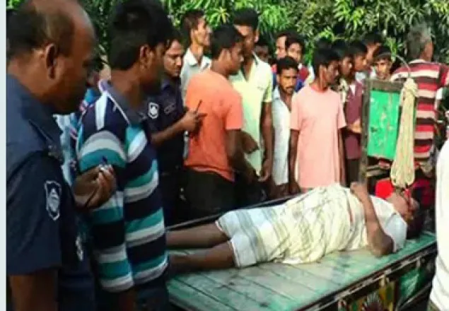মেহেরপুরে সড়ক দুর্ঘটনায় বাগান পাহারাদার নিহত