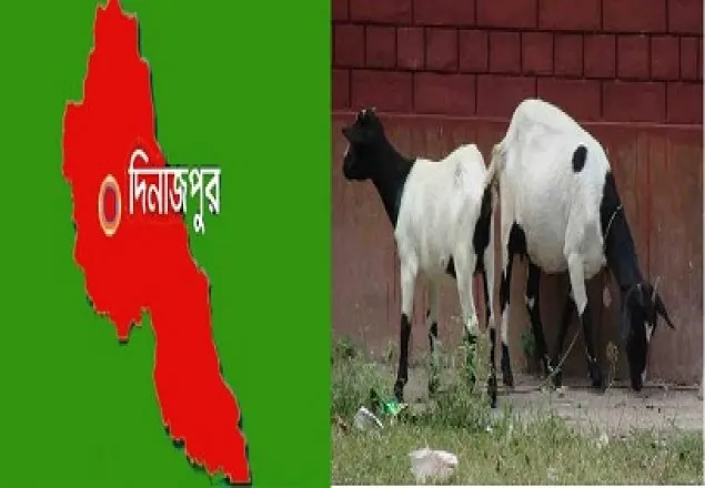 খানসামার পশু হাসপাতালের বেহাল দশা