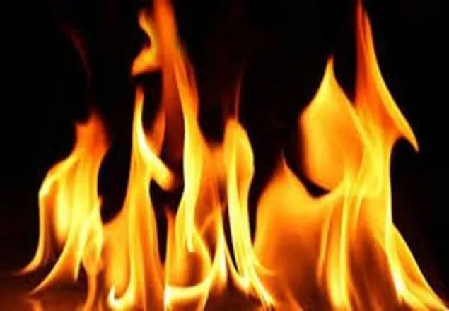 মিরপুরে ৬ তলা ভবনে আগুন