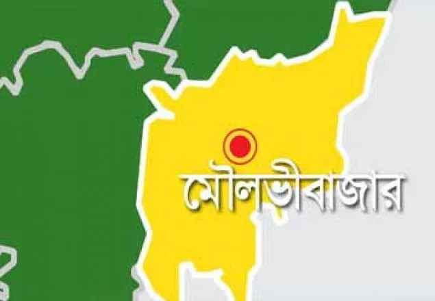 মৌলভীবাজারে ৬ গৃহকর্মীর ৩ জনেন আত্মহত্যার চেষ্টা
