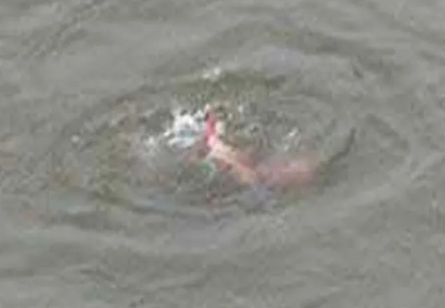 বালিয়াকান্দিতে পানিতে ডুবে শিশুর মৃত্যু