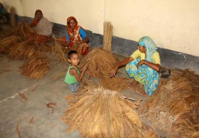 শ্রমিক-স্বাস্থ্যবিধি মানাছে না তামাক কারখানাগুলো