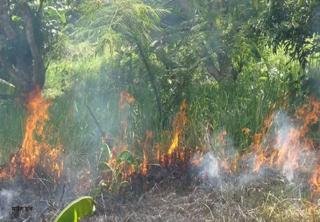 সুন্দরবনে আগুন দেওয়ার অভিযোগে গ্রেপ্তার ২
