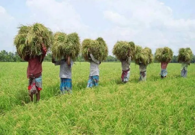 ৩ বছরে কৃষিতে কমেছে ৩ হাজার কোটি টাকা