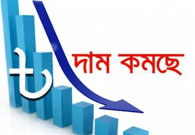 দাম কমছে যেসব পণ্যের
