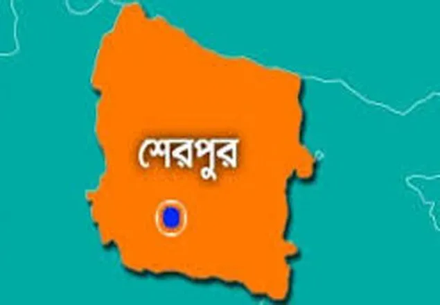 শেরপুরে নির্বাচনী সহিংসতায় আহত একজনের মৃত্যু