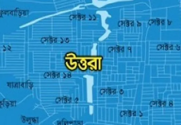 উত্তরায় সেনা কর্মকর্তার মায়ের গলাকাটা লাশ উদ্ধার