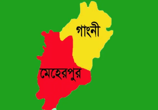গাংনীতে বিদ্যুৎস্পৃষ্ট হয়ে বৃদ্ধের মৃত্যু
