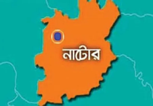 বড়াইগ্রামে ট্রাক দুর্ঘটনায় হেলপার নিহত