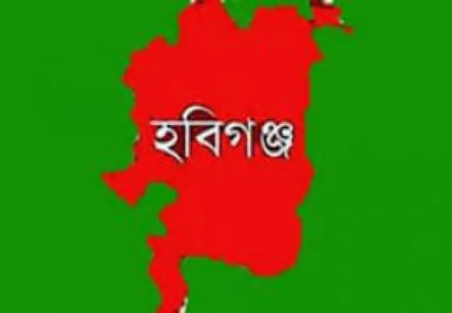 ট্রাকের ধাক্কায় বাস খাদে,২০ বরযাত্রী আহত 