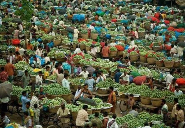 রাজশাহীতে আমের বাজারে ভিড়, অর্থনীতি চাঙ্গা