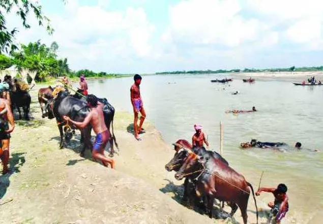 রৌমারী সীমান্তে ভারতীয়দের অবাধ বিচরণ