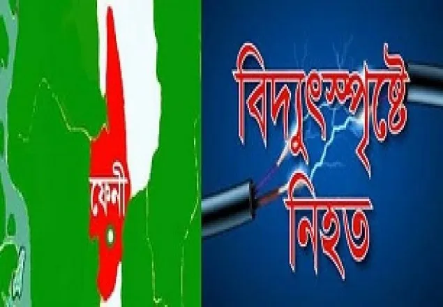 মাছ ধরতে গিয়ে বিদ্যুৎস্পৃষ্টে নিহত ১