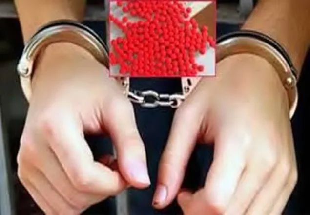 ১০ হাজার পিস ইয়াবাসহ দুই মাদক ব্যবসায়ী আটক