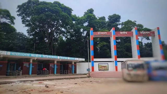 মিরপুর চিড়িয়াখানার খাঁচা থেকে বেরিয়ে গেছে সিংহ