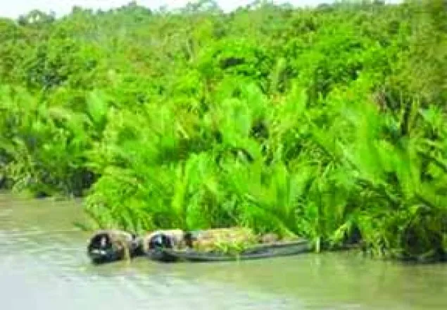 সুন্দরবনে বনদস্যুদের হাতে পাঁচ জেলে অপহরণ 