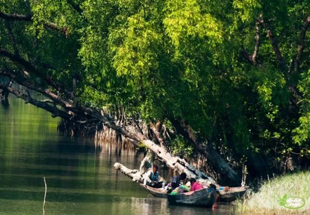 সুন্দরবনে ৫ জেলেকে অপহরণ