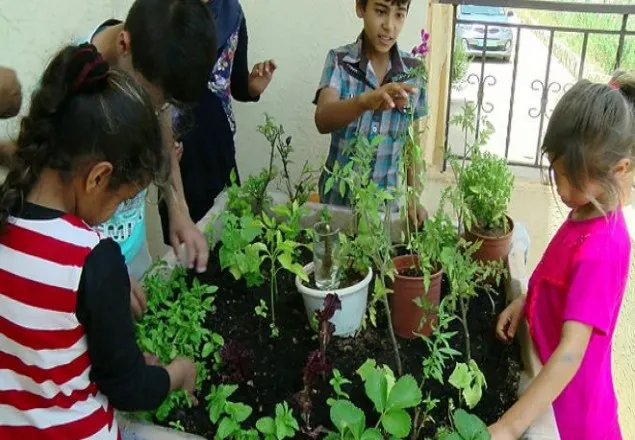 লেবাননে সিরিয় শরণার্থীদের জন্য চাষাবাদের সুযোগ
