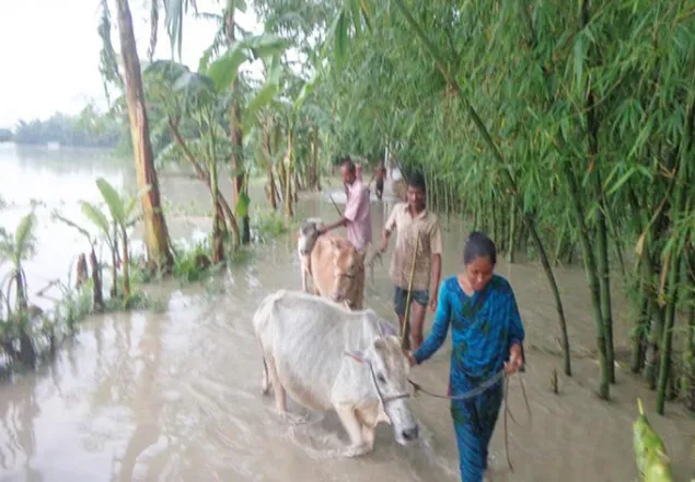 বিপদসীমার উপর দিয়ে বইছে তিস্তার পানি, নিম্নাঞ্চল প্লাবিত