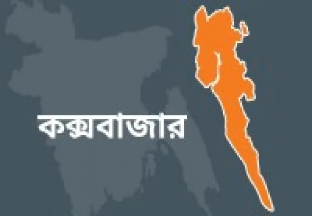 গৃহপালিত মহিষ নিলামে বিক্রি করে দিল কাস্টমস