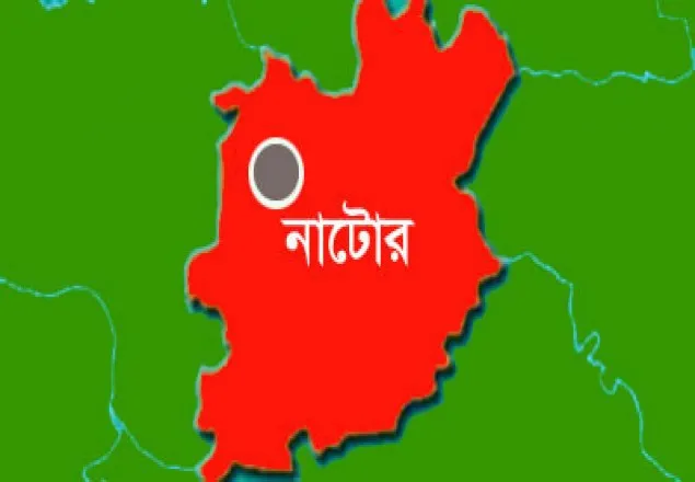 নাটোরে পানিতে ডুবে শিশুর মৃত্যু