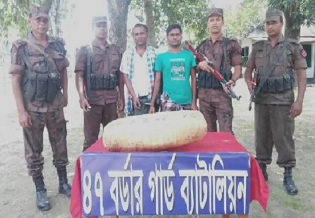 কুষ্টিয়ায় ৪ কেজি গাঁজাসহ দুই মাদক ব্যবসায়ী আটক