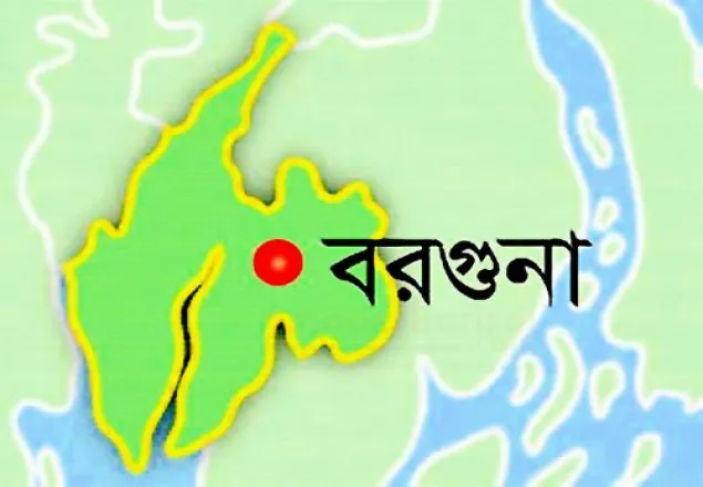 গণপিটুনিতে জেলা ছাত্রদলের আহবায়ক নিহত