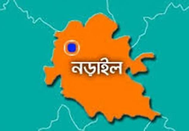 নড়াইলে নির্বাচন পরবর্তী সহিংসতায় একজনকে কুপিয়ে হত্যা, আহত ৬