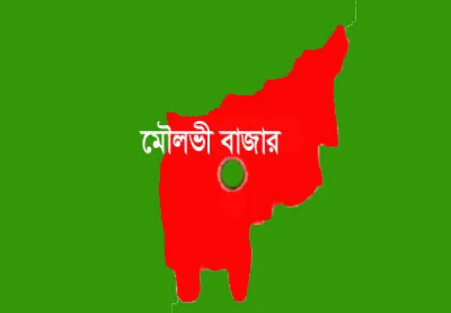 কমলগঞ্জে ট্রেনে কাটা পড়ে যুবকের মৃত্যু