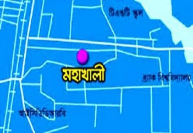 মহাখালীতে ডোবায় পড়ে শিশু নিখোঁজ