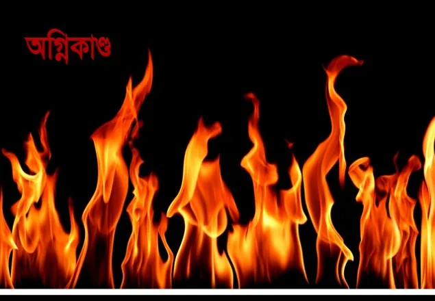 নীলফামারীতে পুড়ল ৪৫ পরিবারের ঘরবাড়ি