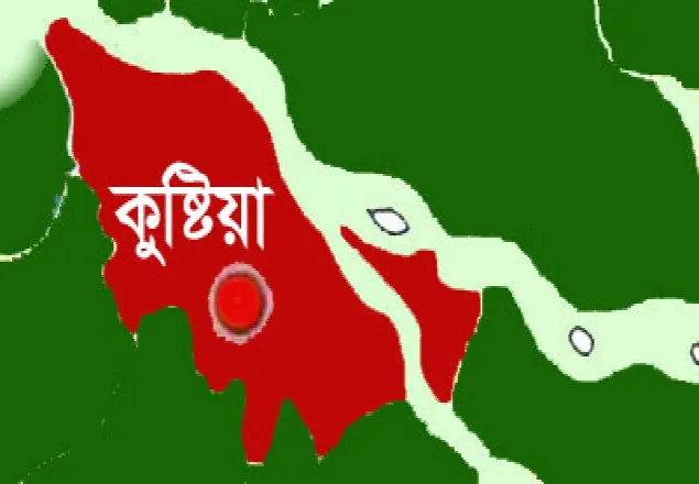 দৌলতপুরে বিদ্যুৎস্পৃষ্ট হয়ে স্কুলছাত্রের মৃত্যু