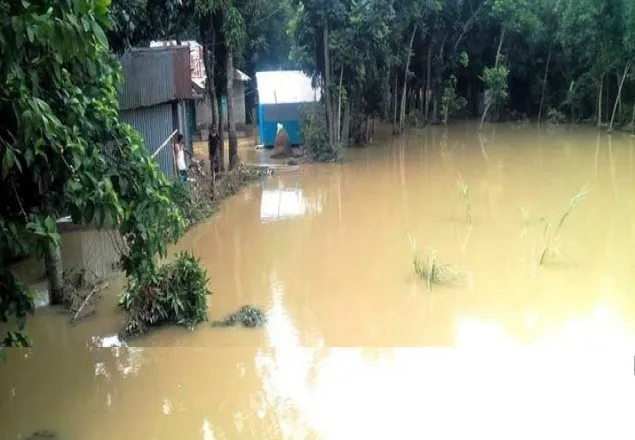 বেড়িবাঁধ ভেঙে ফুলগাজীর ৬ গ্রাম প্লাবিত