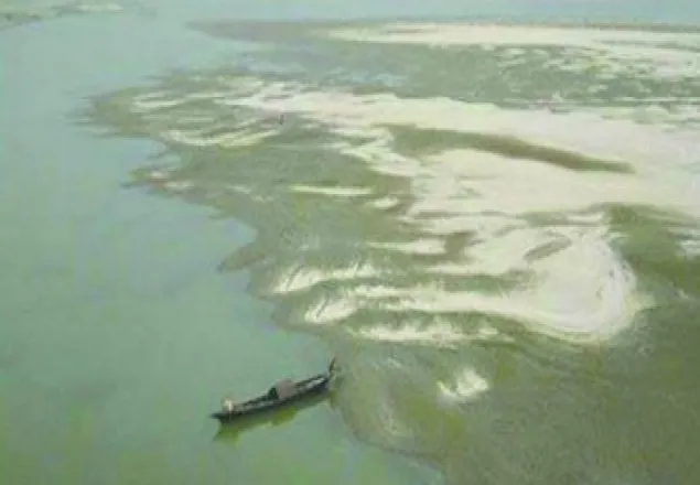 বগুড়ার চরে জঙ্গি প্রশিক্ষণ ক্যাম্প গুঁড়িয়ে দিয়েছে যৌথবাহিনী