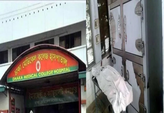 ৯ জঙ্গির মধ্যে পরিচয় মিলেছে ৩ জনের