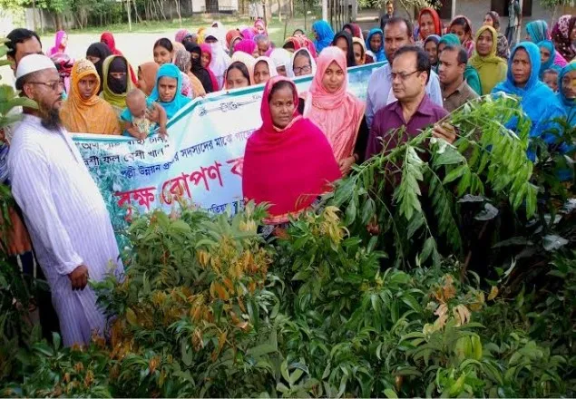 বগুড়ায় ইসলামী ব্যাংকের বৃক্ষরোপন কর্মসূচীর উদ্বোধন