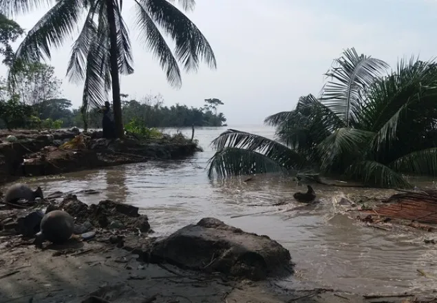 পদ্মার ভাঙন: গৃহহীন ৪ জাজিরার শতাধিক পরিবার
