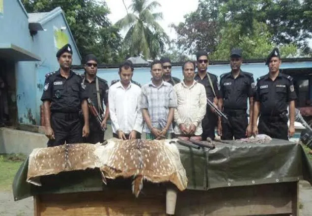 বরগুনায় হরিণের চামড়াসহ ৩ দস্যু আটক