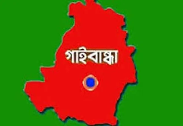 পলাশবাড়ীতে যুবদলের ১১ নেতাকর্মী কারাগারে