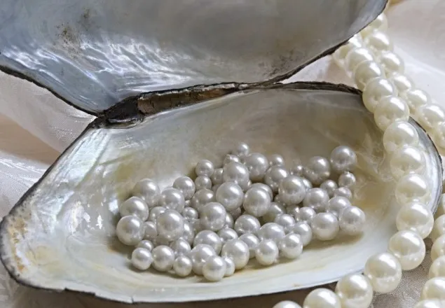বাংলাদেশের মুক্তা যাবে বিদেশে! 