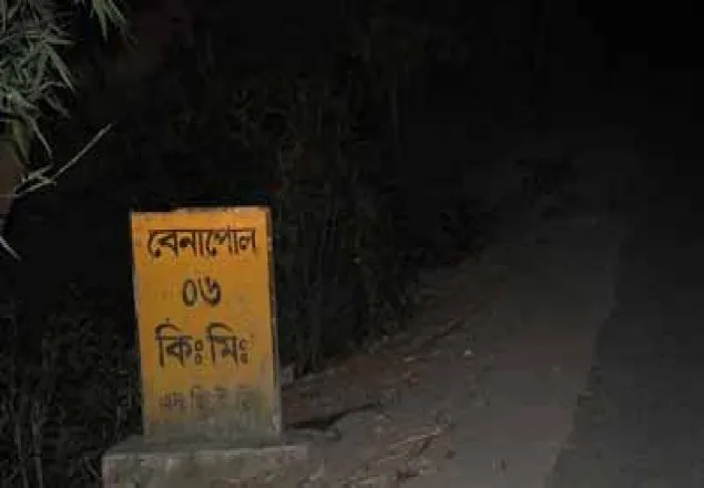 বেনাপোল সীমান্তে ১৮ বাংলাদেশি নারী-পুরুষ আটক 