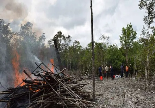 সুন্দরবনে দস্যু আস্তানায় অভিযান ওয়াচ টাওয়ার ধ্বংস