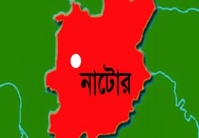 নাটোরের সিংড়ায় দুই ভাইকে কুপিয়ে হত্যা